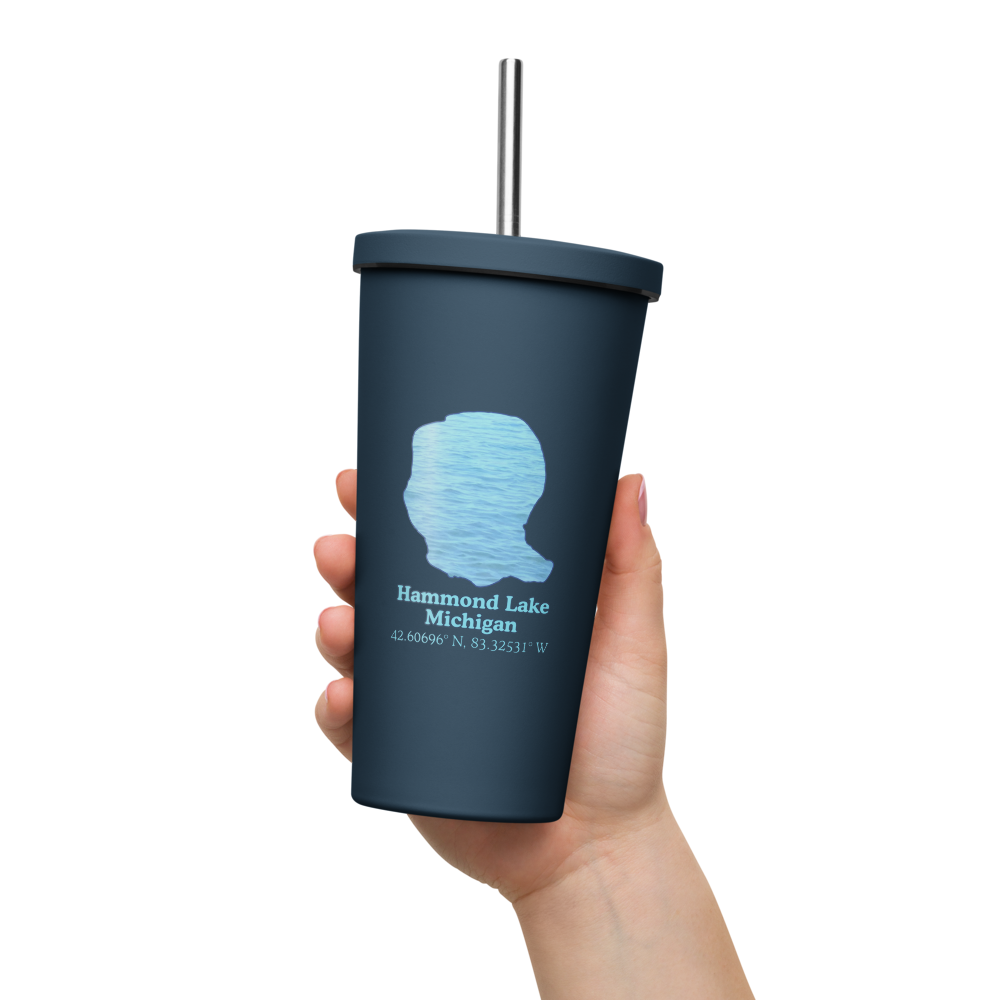 Hammond Lake 20 oz. Insulated Stainless Steel Tumbler & Metal Straw