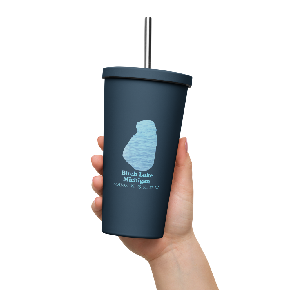 Birch Lake 20 oz. Insulated Stainless Steel Tumbler & Metal Straw