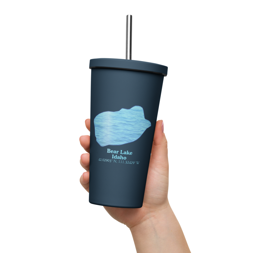 Bear Lake 20 oz. Insulated Stainless Steel Tumbler & Metal Straw